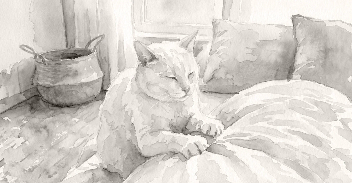 How Cats Show Love & Gratitude