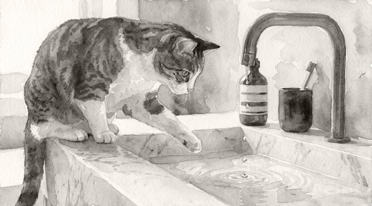 Why (Some) Cats Avoid Water