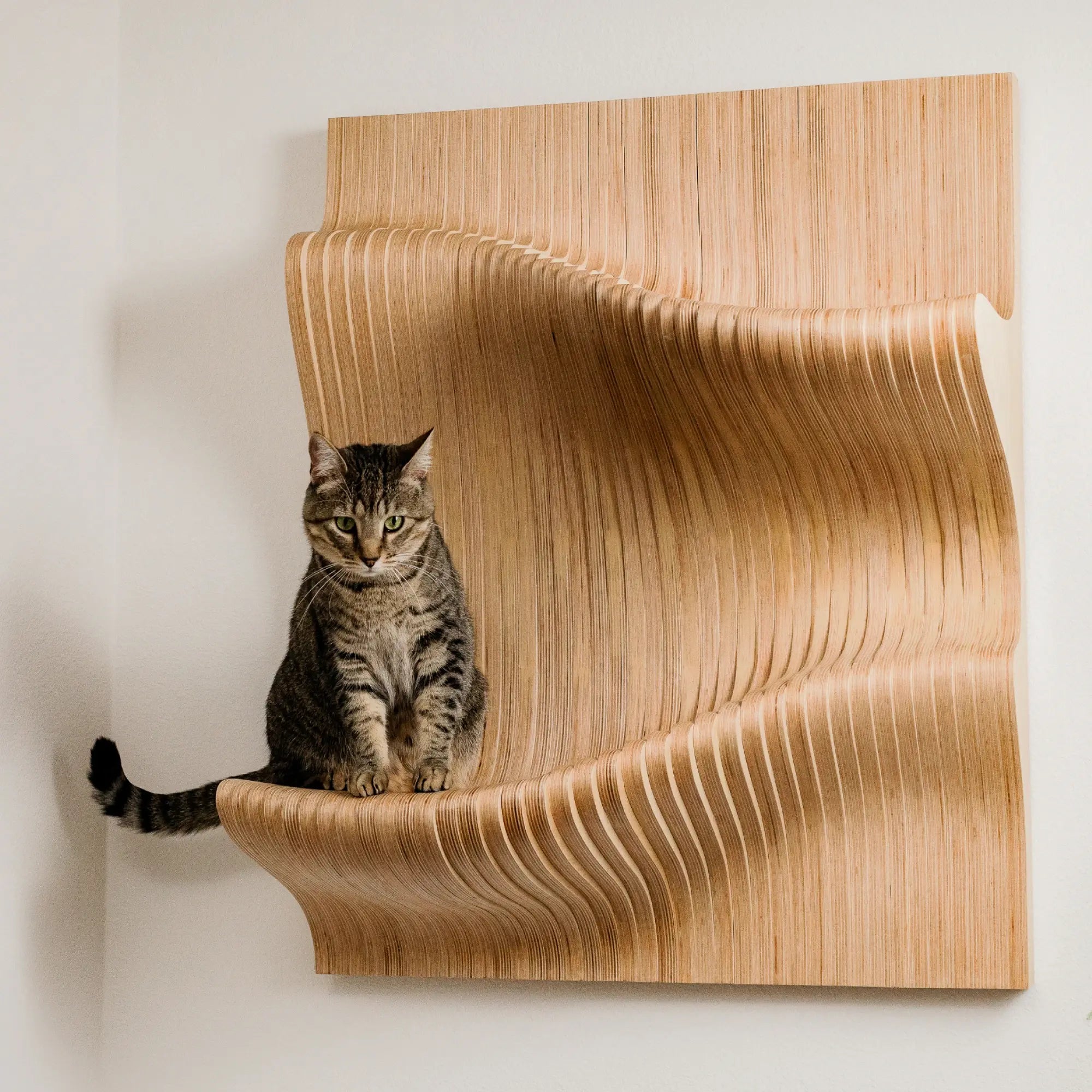 You'd Hang These On Your Walls Even If You Didn't Have A Cat