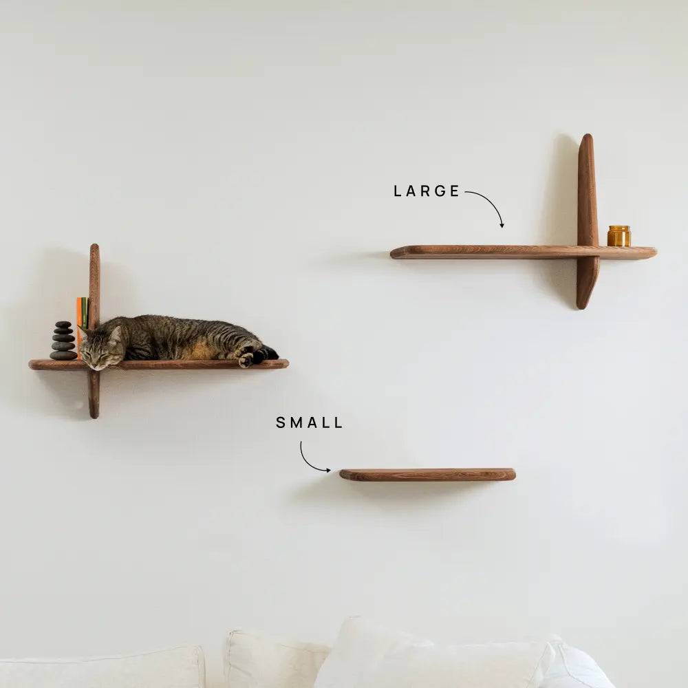 Walnut / Small