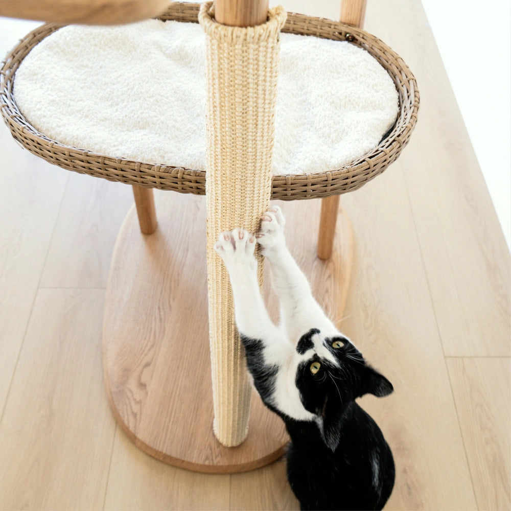 Solid Oak