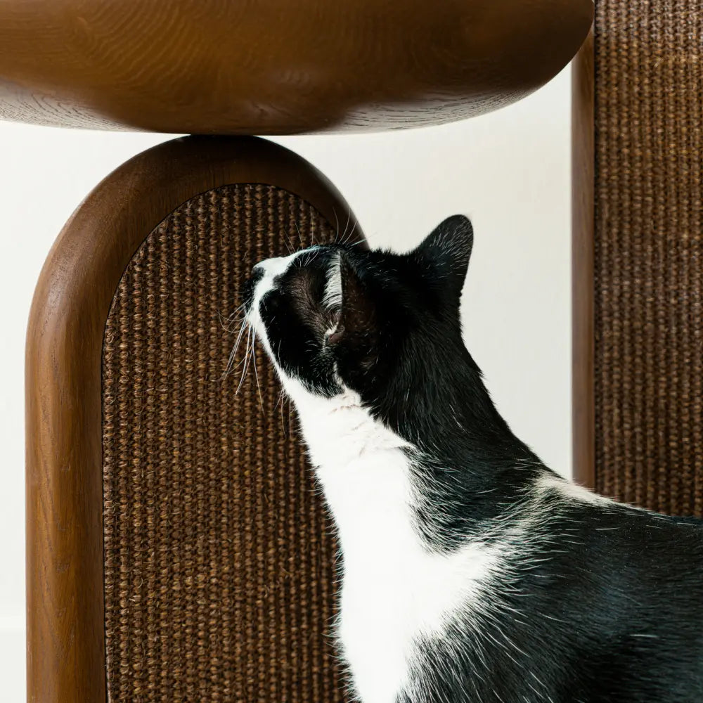 Walnut