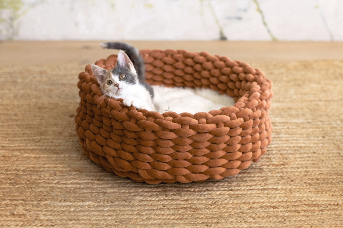 Kitty city woven cat bed online
