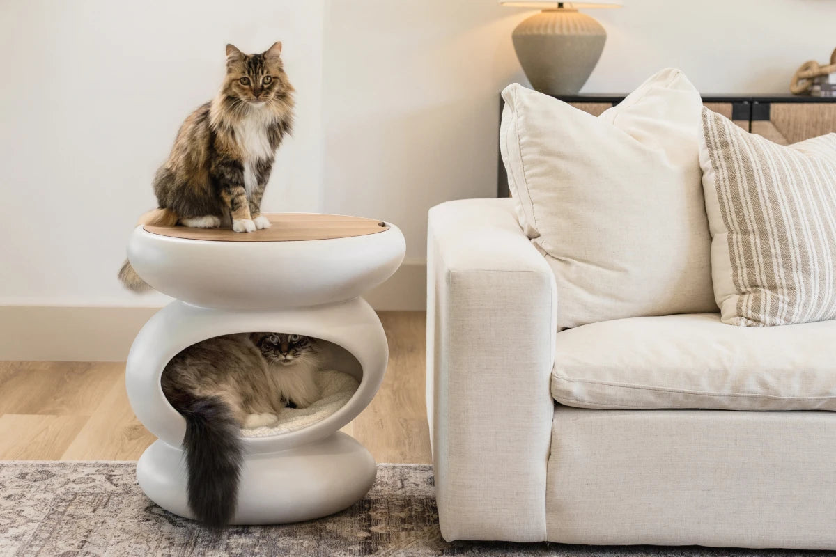 置物 maocat Zen Modern Side Table For Beautiful Homes | MAU – Mau