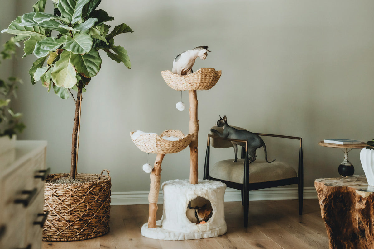Cat Trees For Large Cats, Wicker Cat Tree, Cat Tree With Basket – Mau