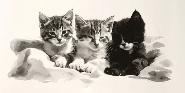 Your Guide to Fostering Cats