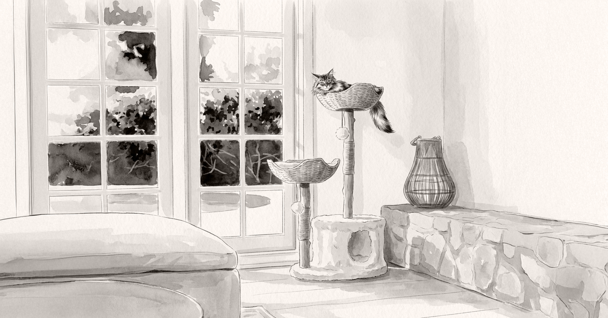 How To Refresh Your Cat’s Space