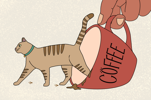Your Cats Coffee Order, By Breed