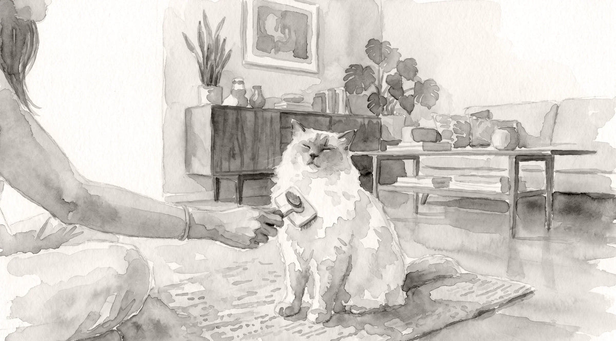 Meow-ster Class: Tips for Brushing Your Cat