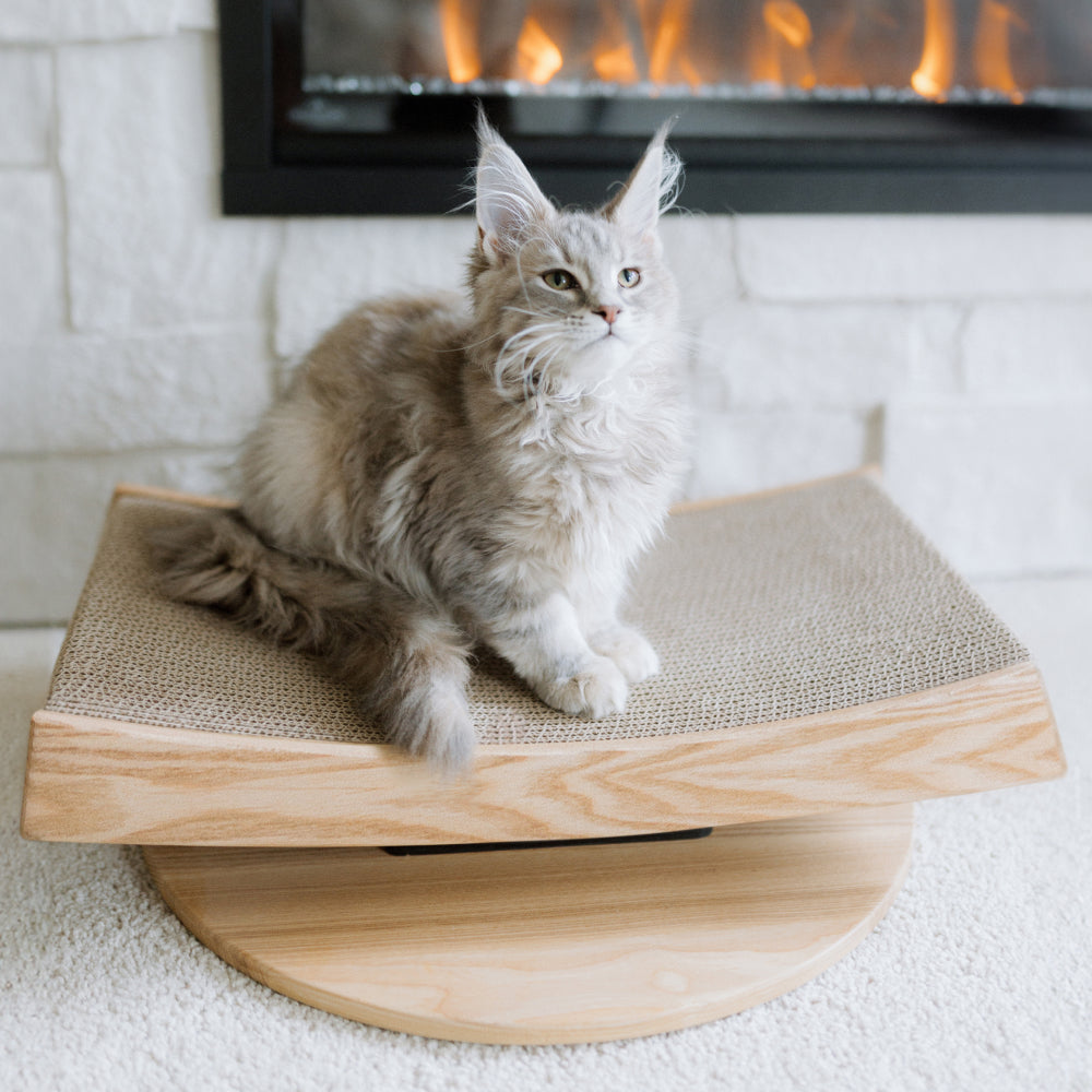 Scratching Posts That Satisfy Your Itch For Style