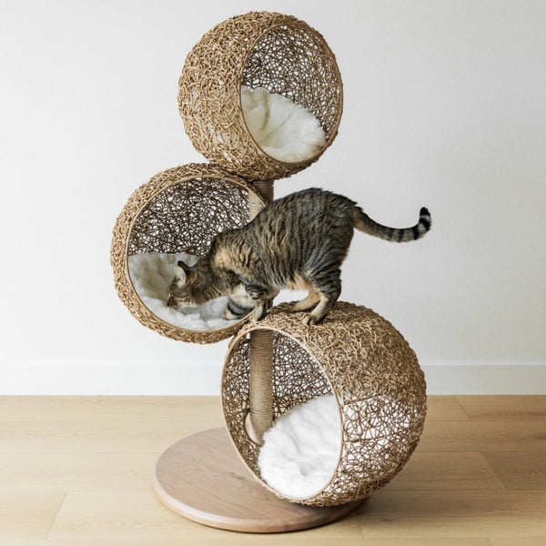 Expensive Cat Tree The