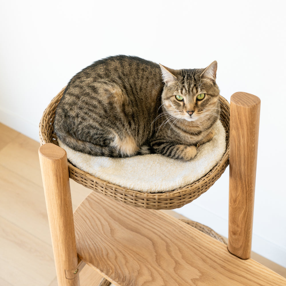 Shop A Different Breed of Cat Towers, Scratchers, Beds, and Caves