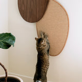 2x Scratching Pads For Pietra