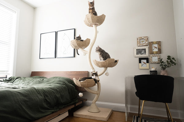 Cat tree fancy top