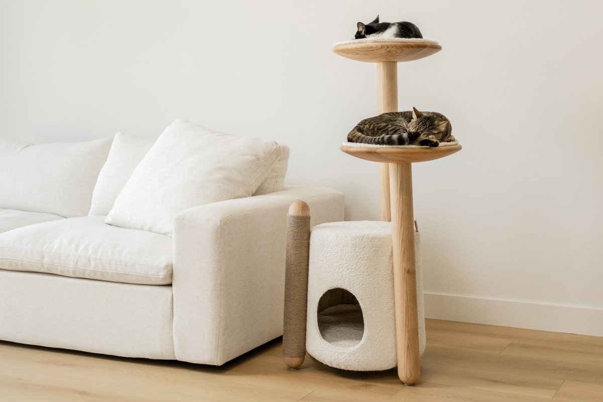 Modern solid wood cat tree built for large and multiple cats