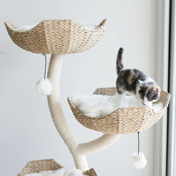 MauLifestyle&Co. Cat Scratching Post