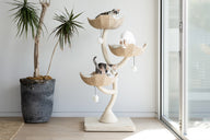 Ivy 3 Cat Tree