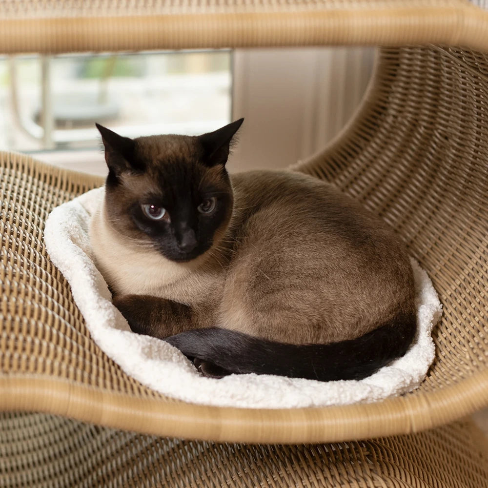 Cushion (For Snake)