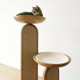 Solid Oak
