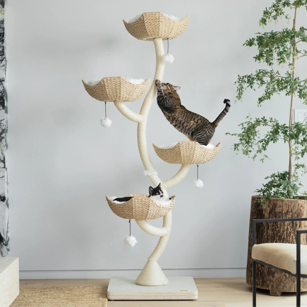 Real Tree Cat Furniture, Luxury Cat Tower, Tier Cat Tower – Mau