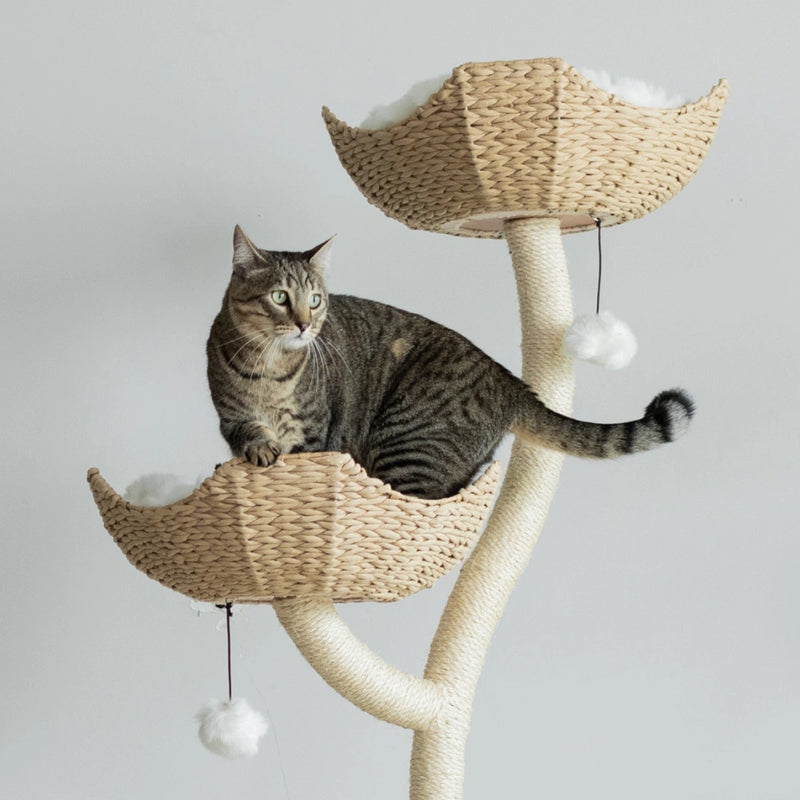 Real Tree Cat Furniture, Luxury Cat Tower, Tier Cat Tower – Mau