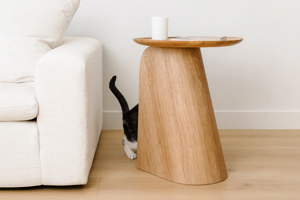 Kona Modern Wooden Side Table And Cat Scratcher For Beautiful