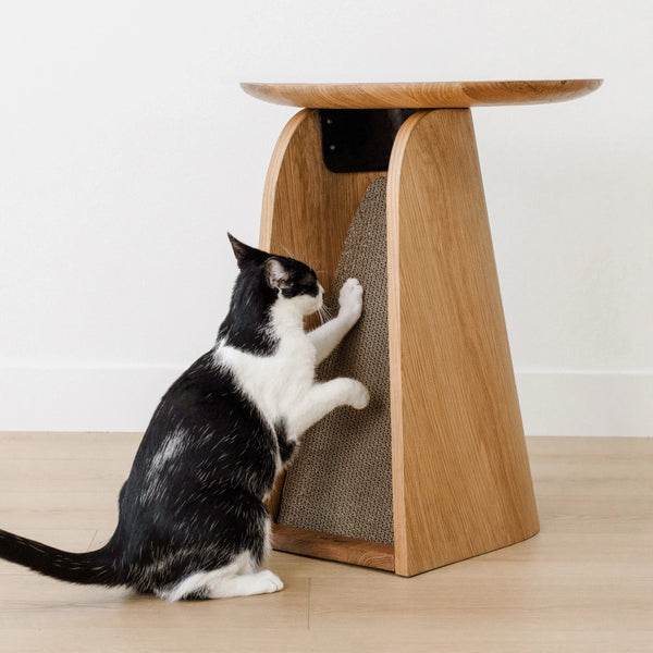 Oak cat tree store