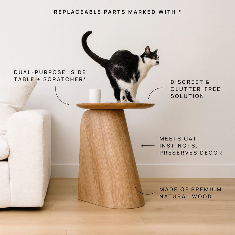 Kona Modern Wooden Side Table And Cat Scratcher For Beautiful