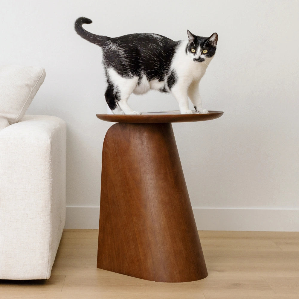 Dark Brown Cat Hard Stool Stool If A Cat Is Constipated Cats Poop