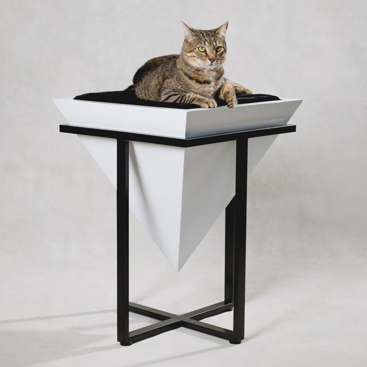 elevated cat beds