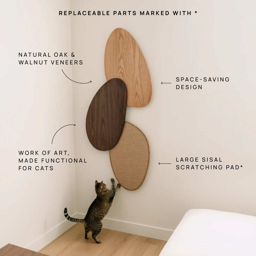 Oak & Walnut