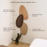 Oak & Walnut