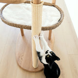 Solid Oak
