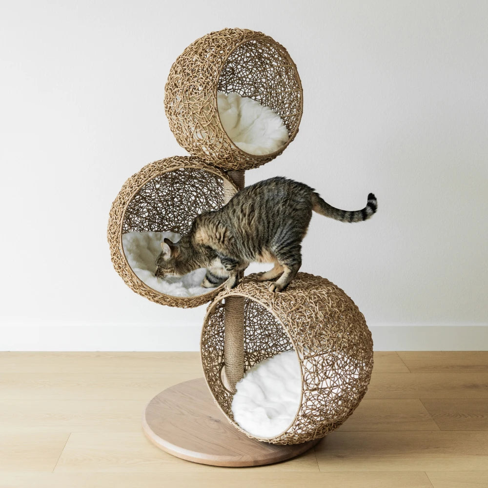 Lua Scratching Post