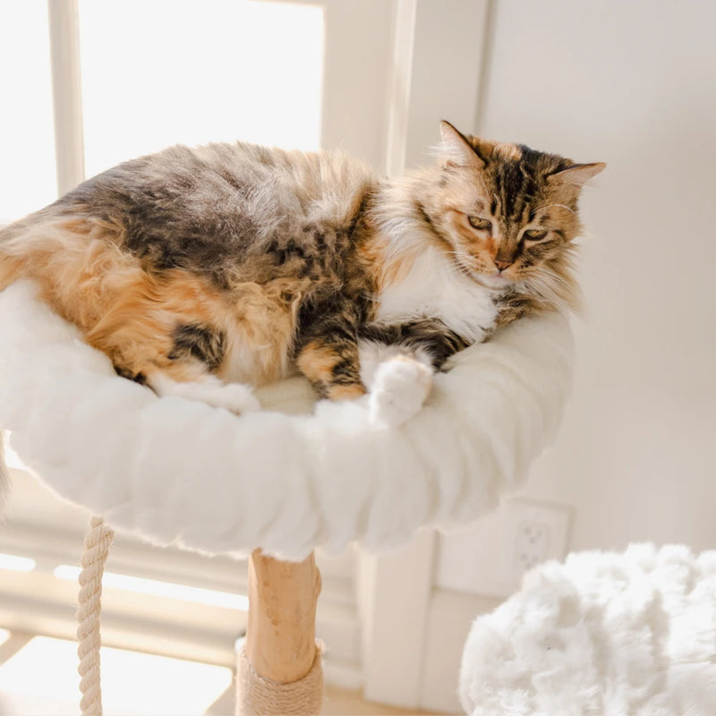 Cat Tree Tower, Modern Wood Cat Tree, Fluffy Cat Tree – Mau