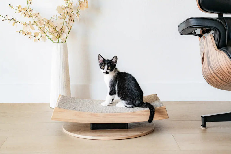 Torii Modern Wooden Cat Scratcher For Beautiful Homes MAU Mau