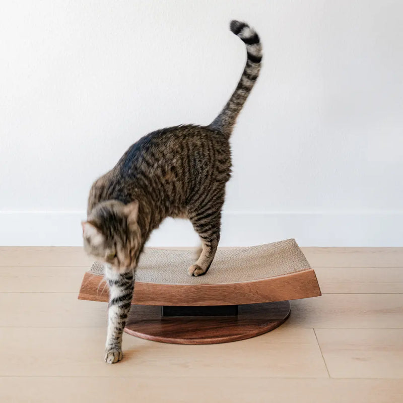 Torii Modern Wooden Cat Scratcher Refill | MAU – Mau Torii Modern Wooden Cat Scratcher Refill | MAU – Mau