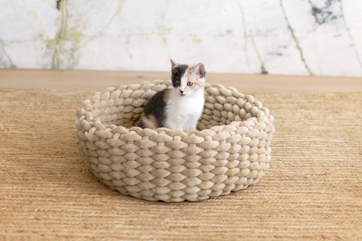 Woven basket cat bed discount