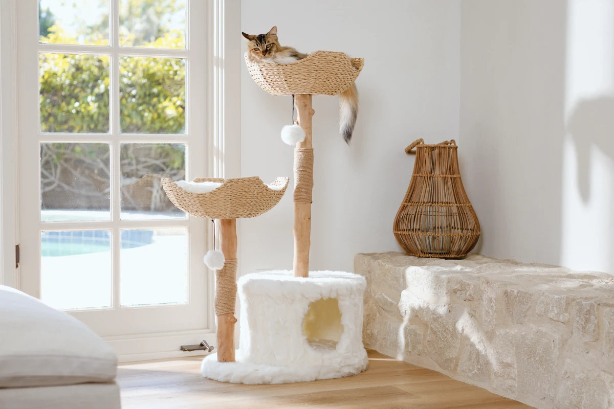 Nami Modern Cat Shelf For Beautiful Homes | MAU – Mau