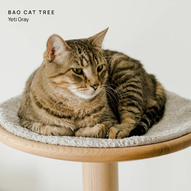 Cushion (For Bao & Gravity)