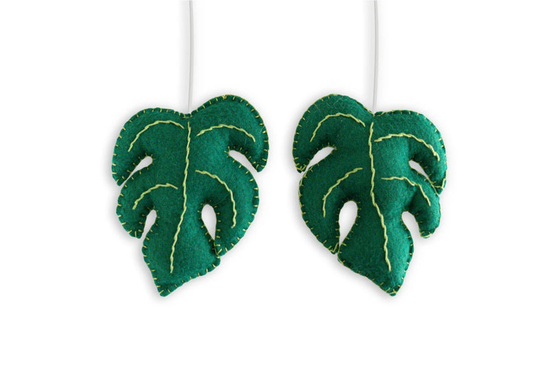 Monstera