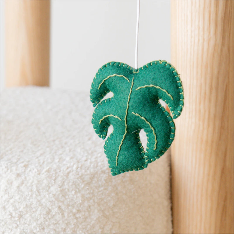 Monstera