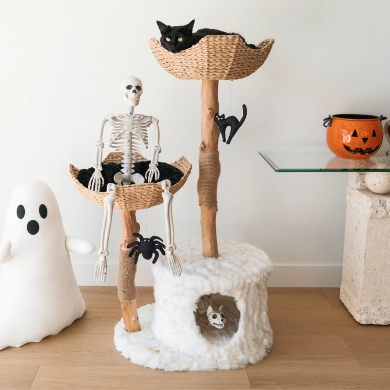 Fright & Bite