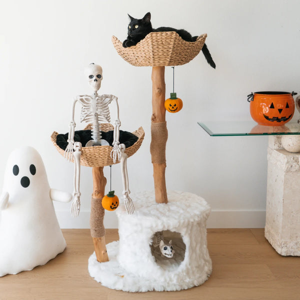 Trick & Treat