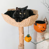 Trick & Treat