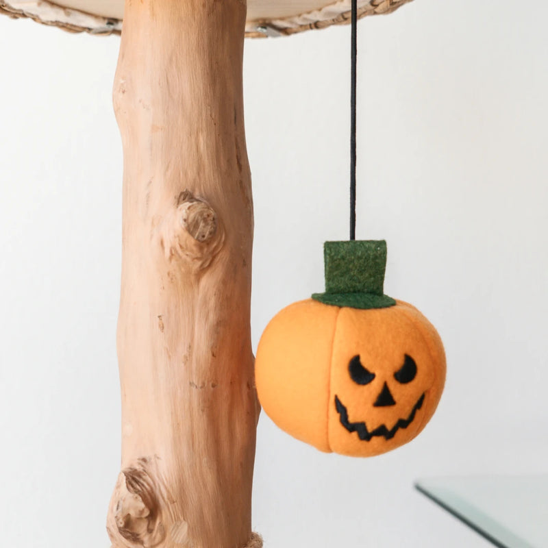 Trick & Treat