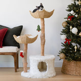 Pine & Stocking