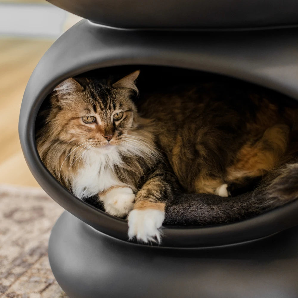 Cushion (For Zen) – Mau