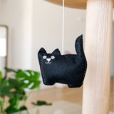 Black Cat