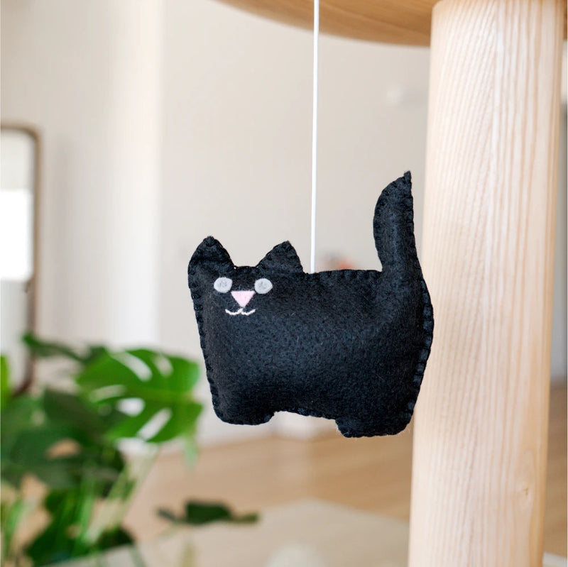 Black Cat